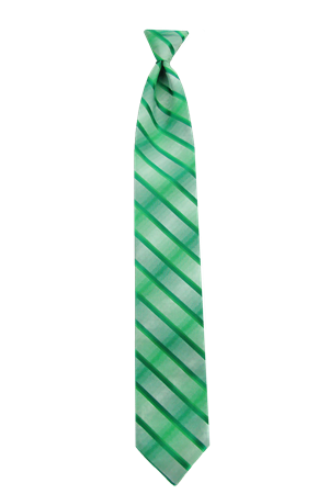Picture of Double Ombre Kelly Windsor Tie
