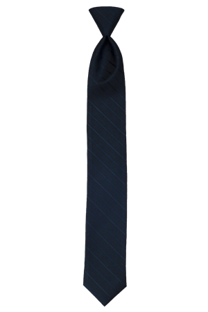 Picture of Modern Solid Dark Navy Windsor Tie