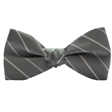 Picture of Modern Solid Platinum Bow Tie