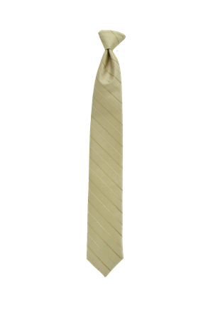 Picture of Modern Solid Toffee Gold Windsor Tie
