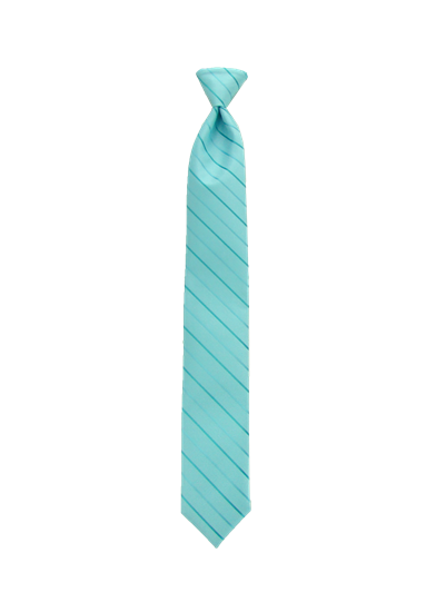 Picture of Modern Solid Pool Windsor Tie