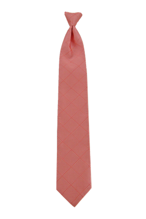 Picture of Romance Salmon Windsor Tie