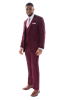 Picture of David Major Burgundy Suit